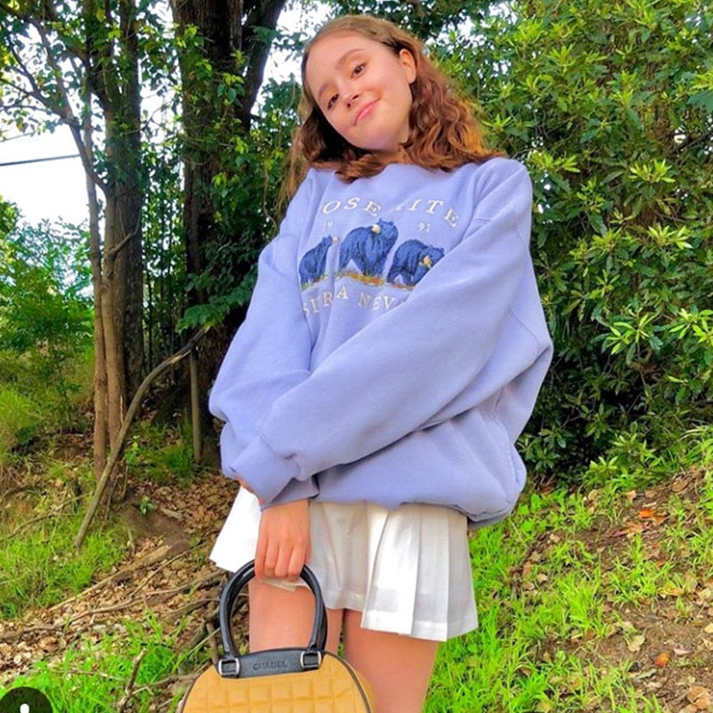 Vintage Yosemite Sweater