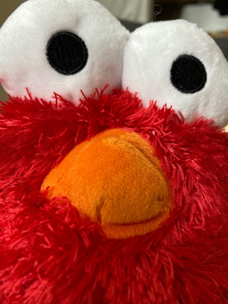 Sesame Street Backpack Bag