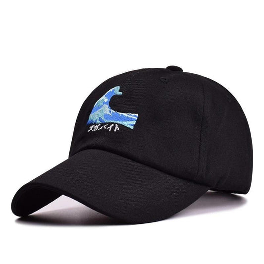 Rogue Wave Dad Hat